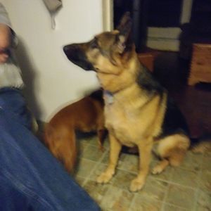 Meet your Posher, Peggy